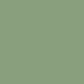 Vallejo Model Color Colour 70974 Green Sky 076