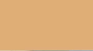 Vallejo Model Color Colour 70-955 Flat Flesh 018