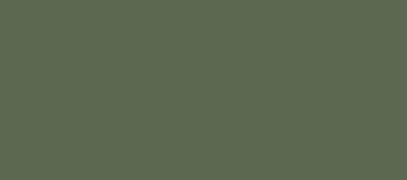 Vallejo Model Color Colour 70-893 US Dark Green 095