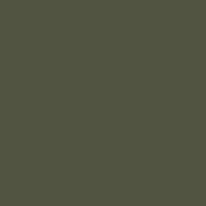 Vallejo Model Air Color Colour Russian Green 71017