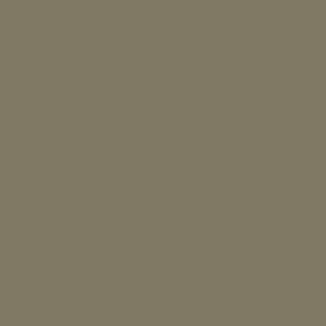 Vallejo Modèle Air Couleur Couleur Chanvre 71023