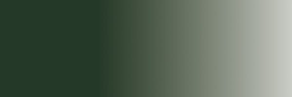 Vallejo Model Air Color Colour Camouflage Dark Green 71-019