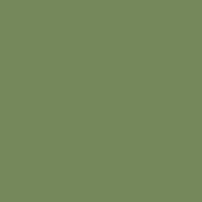 Vallejo Model Air Color Colour Pale Green 71095
