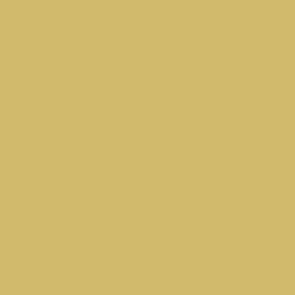 Vallejo Model Air Color Colour Yellow Lazure RLM 05 71106