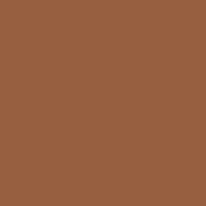 Vallejo Model Air Couleur Couleur Rouille Clair 71129