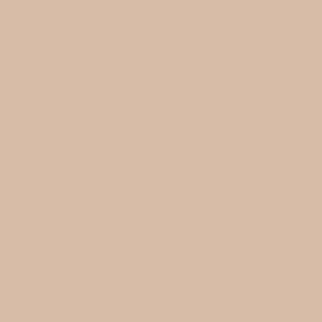 Light Brown Mud Thick Mud by Vallejo 73810 Swatch