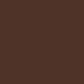 Brown Mud Thick Mud by Vallejo 73811 Swatch