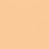 Fleshtone Premium Airbrush Colour by Vallejo 62002 60ml Swatch