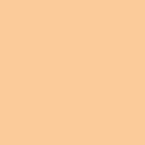 Fleshtone Premium Airbrush Colour by Vallejo 62002 60ml Swatch