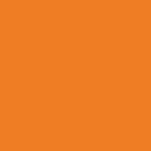 Orange Fluorescent Premium Airbrush Colour by Vallejo 62033 60ml Swatch