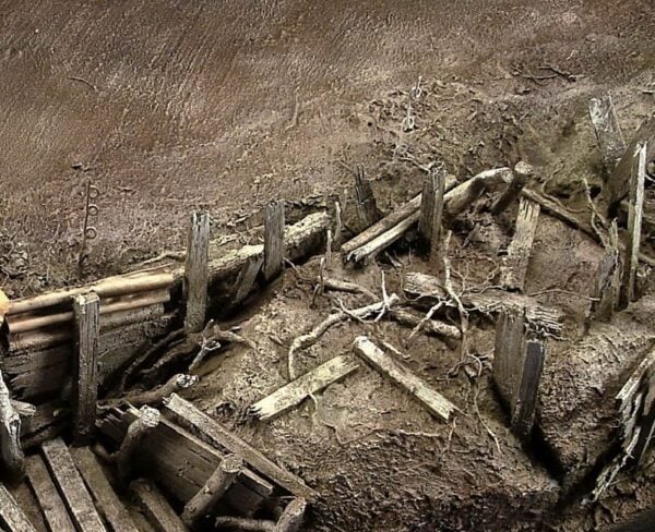 Vallejo Diorama FX Dark Earth Texture