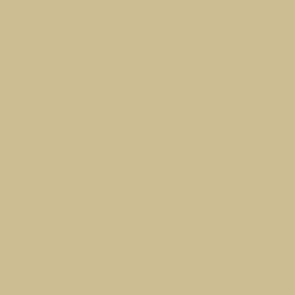 Swatch Vallejo Model Air Color Colour UK BSC 64 Portland Stone 71288