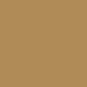 Swatch Vallejo Model Air Color Colour US Earth Yellow 71291