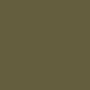 Swatch Vallejo Model Air Color Colour AMT-4 Camouflage Green 71301