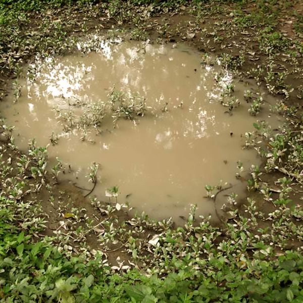 AK interactive Diorama Puddles 60ML 8028