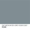RC289 RAF Medium Sea Grey BS381C/637