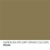 RC334 Karekusa Iro Dry Grass Colour