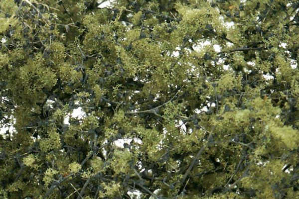 Woodland Scenics Fine-Leaf Foliage Olive Green F1133