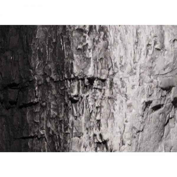 Woodland Scenics Black Terrain Paint 4 Oz C1220