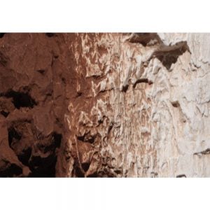 Woodland Scenics Burnt Umber Terrain Paint 4 Oz C1222