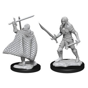 Wizkids Pathfinder Deep Cuts Unpainted Miniatures Wave 13 Elf Fighter Male 90169