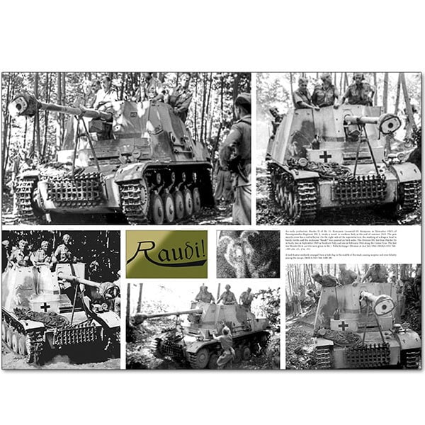 Ammo by Mig Italienfeldzug German Tanks And Vehicles 1943-1945 Vol 2 AMIG6263