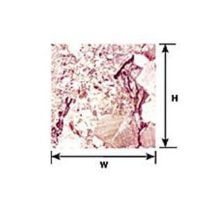 Plastruct 1:12 Scale Rough Marble Sheet 91874