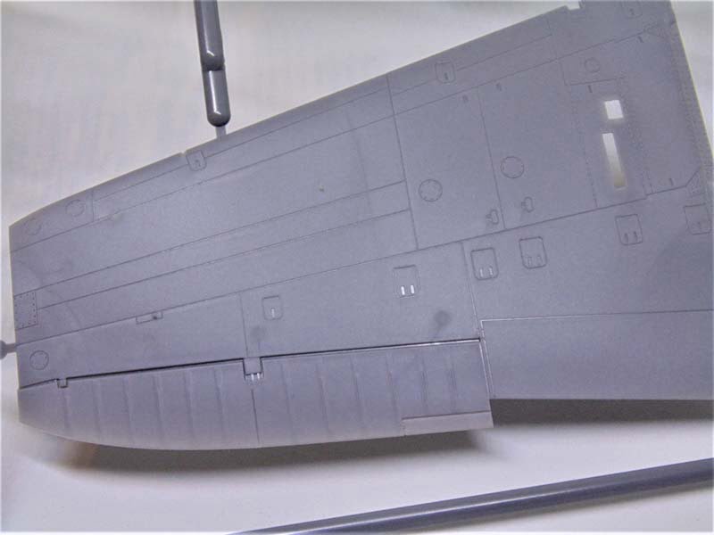 Wing Surface Detail