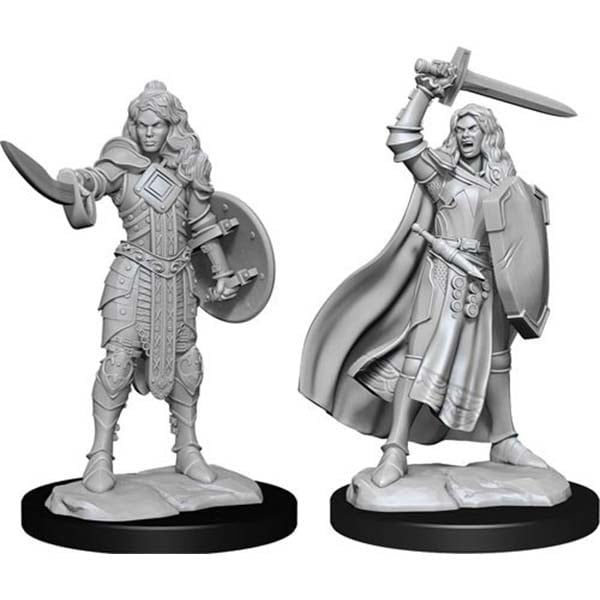 Wizkids Pathfinder Deep Cuts Unpainted Miniatures Wave 14 Human Champion Female 90264