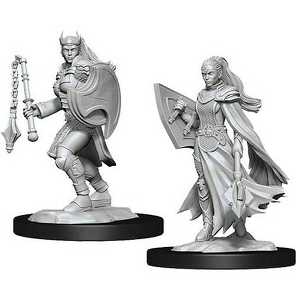 Wizkids D&D Nolzurs Marvelous Unpainted Miniatures Wave 14 Human Druid Female 90223