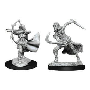 Wizkids D&D Nolzurs Marvelous Unpainted Miniatures Wave 15 Air Genasi 90305