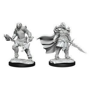 Wizkids D&D Nolzurs Marvelous Unpainted Miniatures Wave 15 Dragonborn Fighter Female 90302