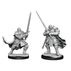 Wizkids D&D Nolzurs Marvelous Unpainted Miniatures Wave 15 Half Orc Paladin 90307