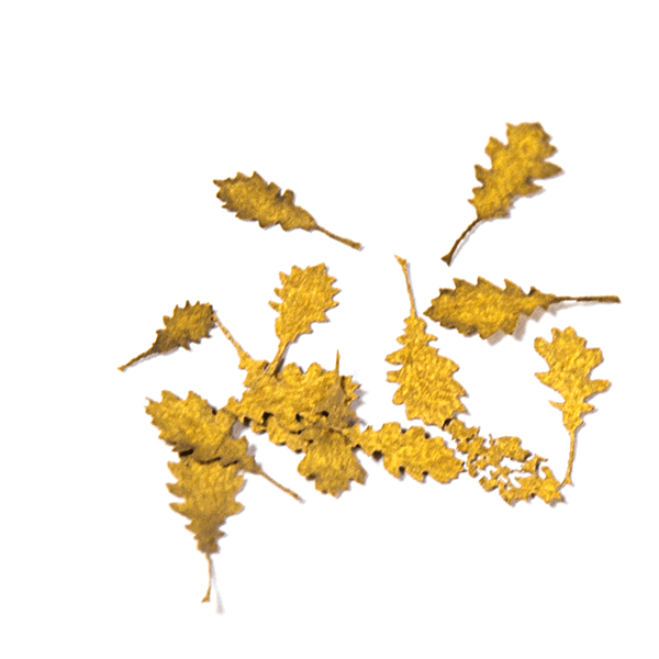 AK Interactive Realistic Pre-Cut Leaves Oak Autumn 1:35 AKI 8105