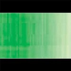 Holbein DUO Aqua Oil Luminous Green 40ml DU374C