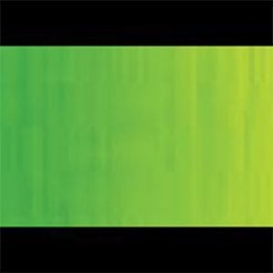 Holbein DUO Aqua Oil Cadmium Green Light Hue 40ml DU245A