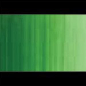 Holbein DUO Aqua Oil Cadmium Green Hue 40ml DU246A