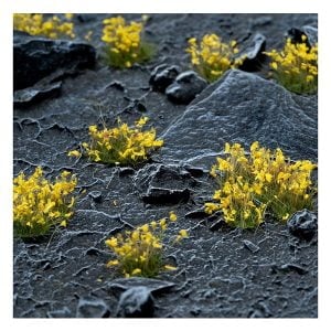 Gamers Grass Yellow Flowers Wild GGF-YE