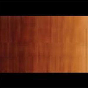Holbein DUO Aqua Oil Burnt Umber 40ml DU317A