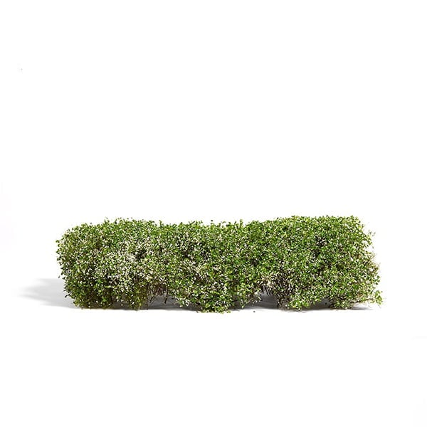 AK Interactive Blooming White 1/35 75mm 90mm Shrubberies AKI 8174