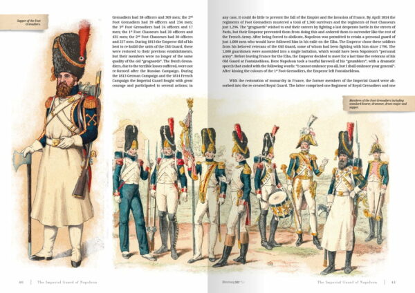 Abteilung Imperial Guard of Napoleon 1799-1815 ABT755