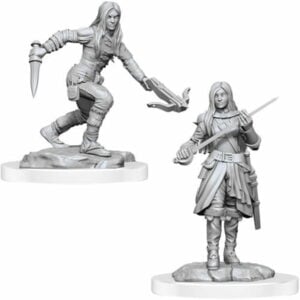 Wizkids D&D Nolzurs Marvelous Unpainted Miniatures Wave 17 Female Half-Elf Rogues 90485