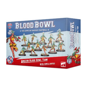 Blood Bowl Amazon Team Kara Temple Harpies Warhammer 202-26