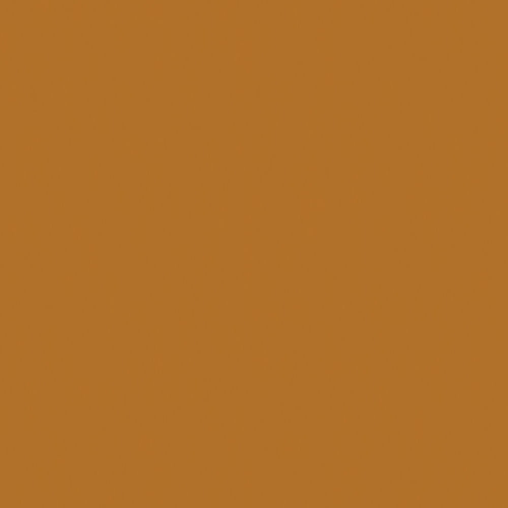 Createx Wicked Detail Raw Sienna W067-02