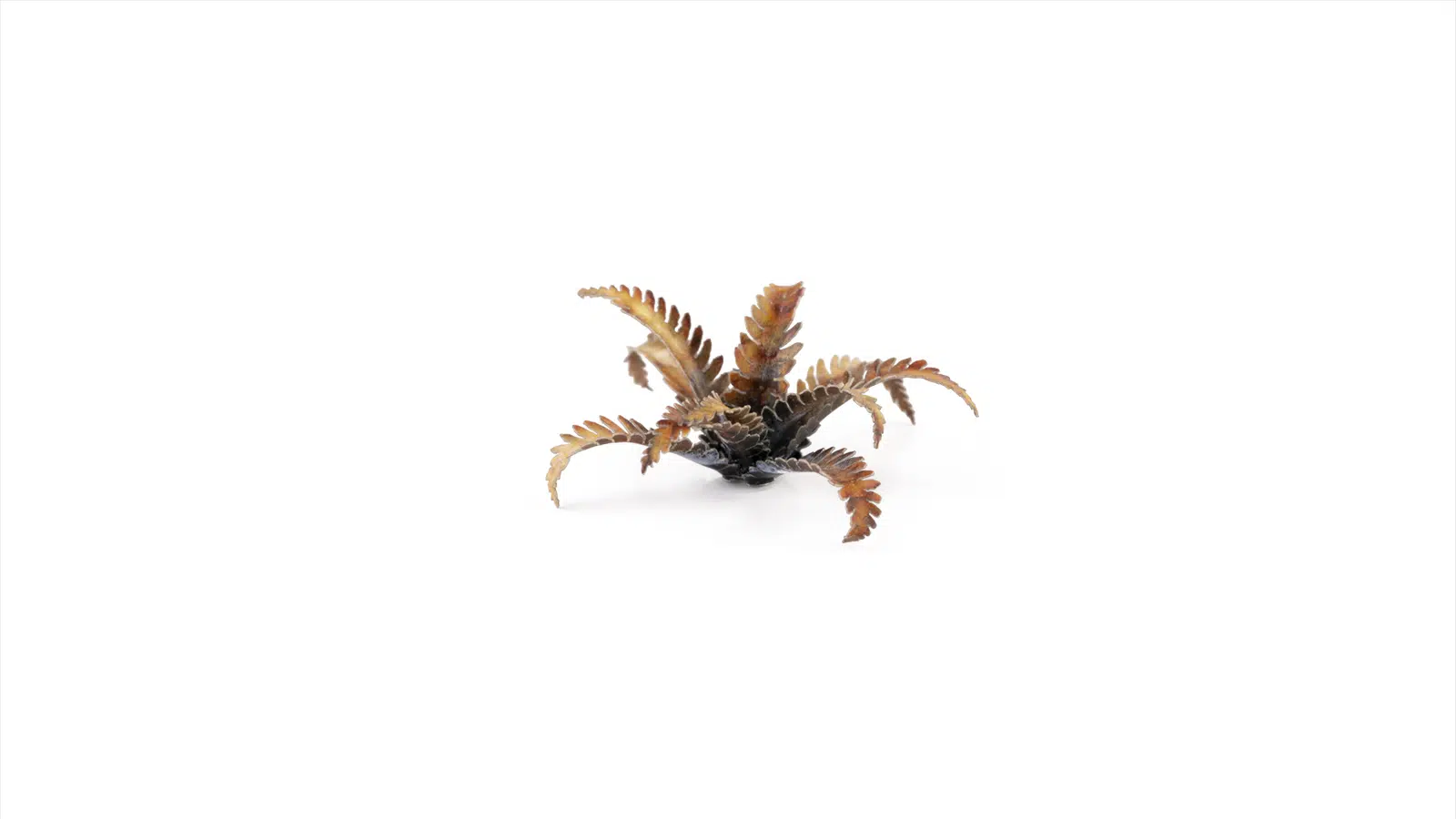 Gamers Grass Laser Plants Alien Fern GGLP-ALF