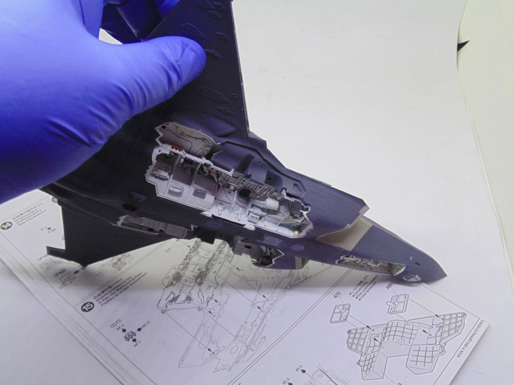 Holding the model showing the underside