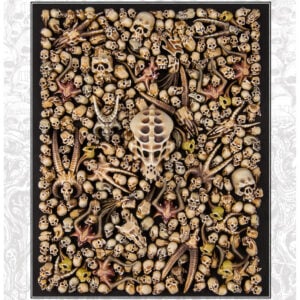Warhammer 40000 and Age of Sigmar Set of Skulls 64-29