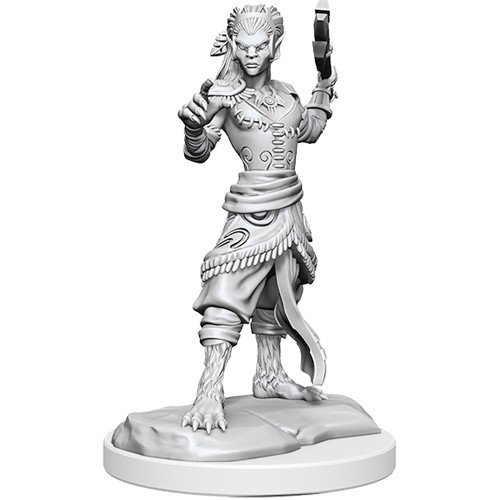 Wizkids D&D Nolzurs Marvelous Unpainted Miniatures Wave 20 Shifter Fighter 90407