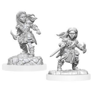Wizkids D&D Nolzurs Marvelous Unpainted Miniatures Wave 20 Halfling Rogue Female 90403