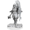 WizKids - D&D Nolzurs Marvelous Miniatures: Half-Elf Warlock - Wave 20